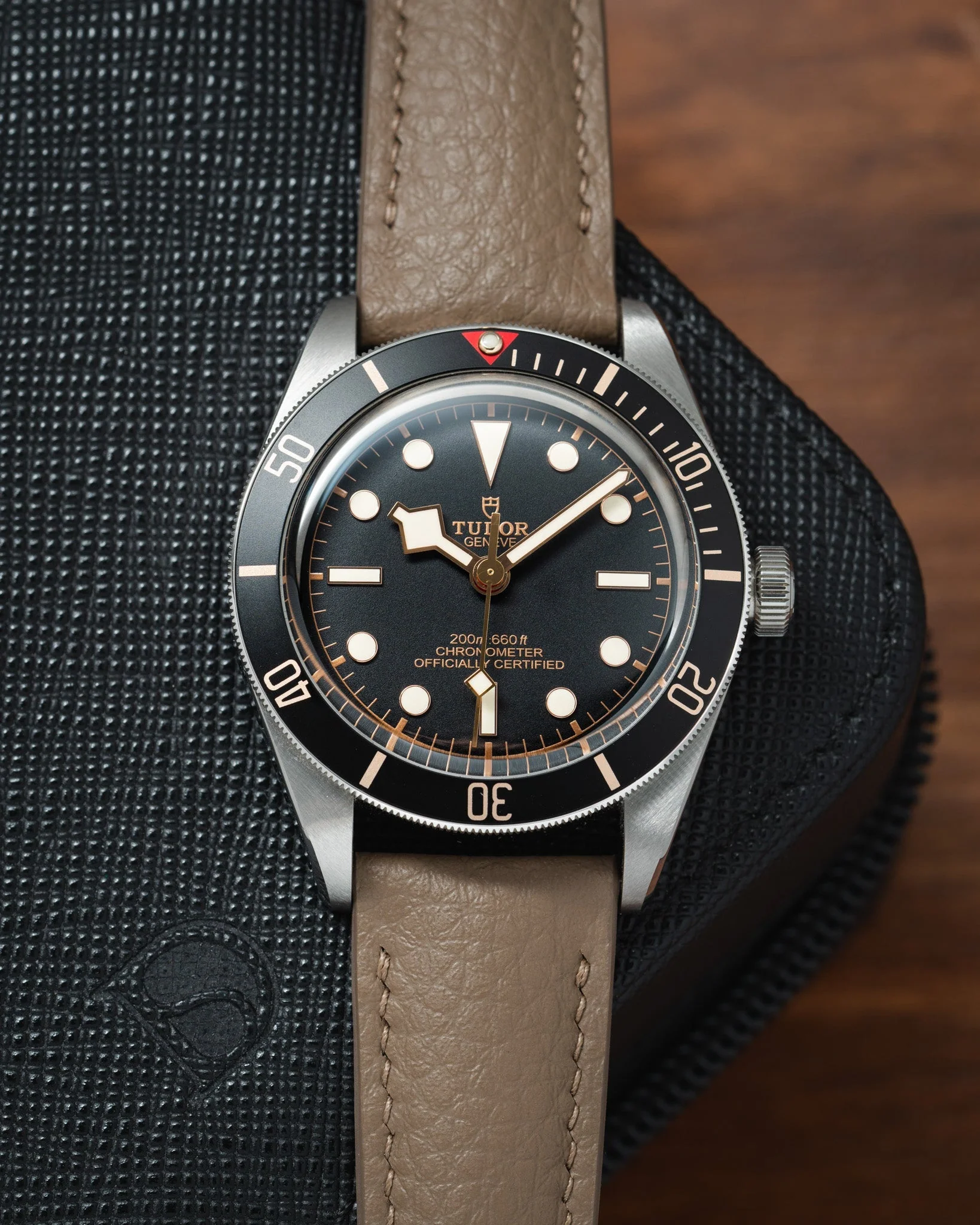 Taupe Rubberised Leather (Togo) Signature Strap - Image 4